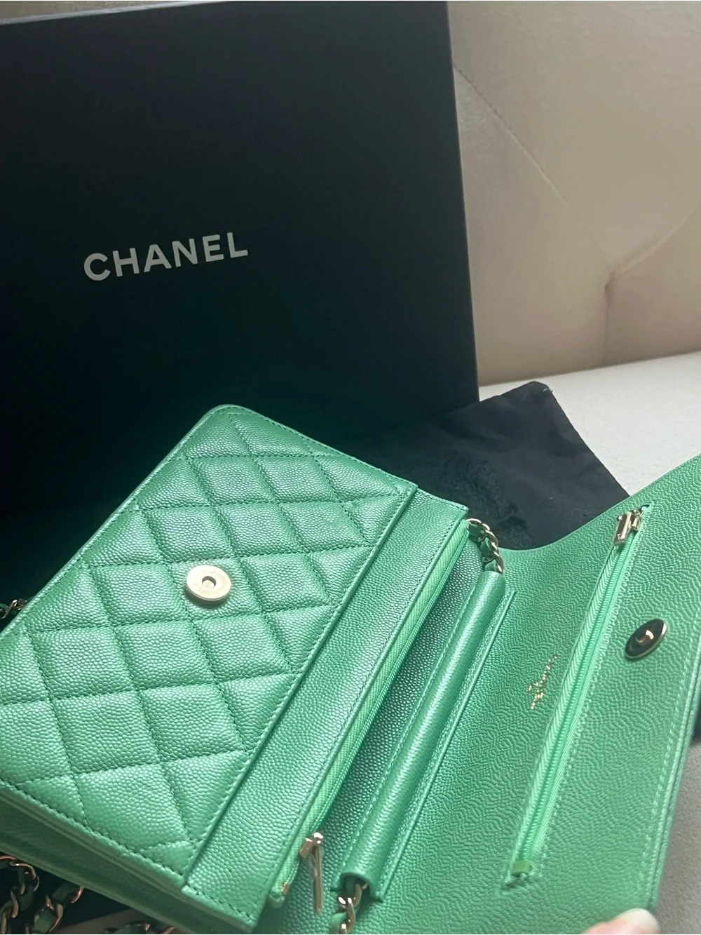 💚💚Chanel Caviar Green WOC Wallet On Chain